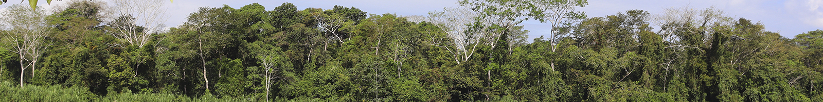 ECOLOGÍA DE PAISAJES FRAGMENTADOS