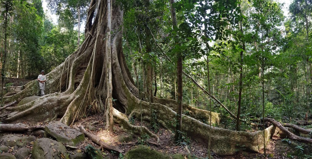 Galería (photos) – Ecología de Paisajes Fragmentados